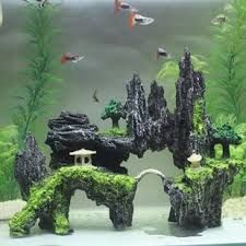 Aquarium Ornamental