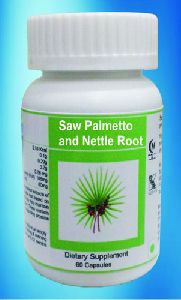 Saw Palmetto