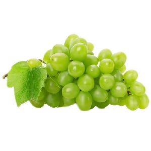 fresh green grapes