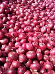 fresh red onion