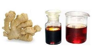 Ginger Oleoresin Extract