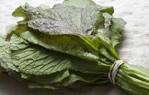 Fresh Mustard Leaves