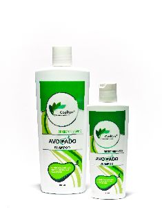 Avocado Hair Shampoo