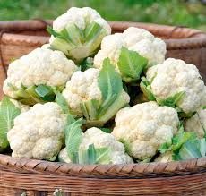 fresh cauliflower