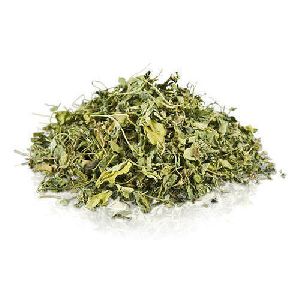 Fenugreek Leaves