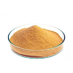 Ginseng Dry Extract
