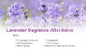 lavender fragrance