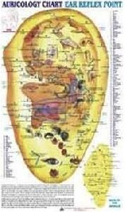 Ear Reflex Point Auricology Chart