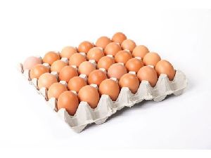 paper egg tray