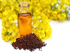 Double Filtered Mustard Oil