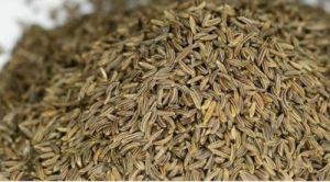 Dried Cumin Seeds, For Cooking, Style : Natural