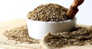 Raw Cumin Seeds