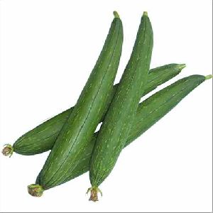 Natural Fresh Sponge Gourd, For Human Consumption, Cooking, Packaging Type : Plastic Packet, Plastic Bag