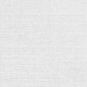 Poplin Grey Fabric