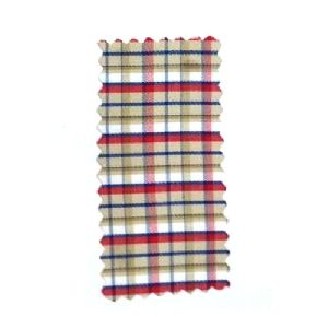 Trendy Check Fabric