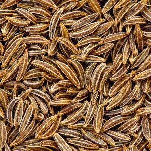 Caraway Seeds Essential Oil