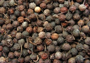 Cubeb oil