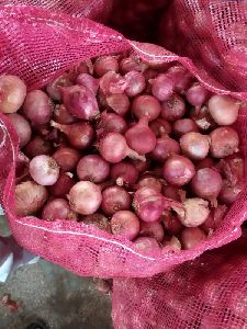 red onion