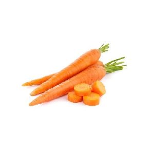 Fresh Carrot