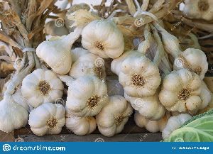 Organic Fresh Garlic