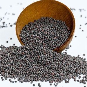 black mustard seeds