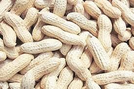 Shelled Peanuts