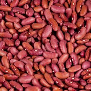Top Quality Kidney Beans (Red/ White/ Black/ Speckled)