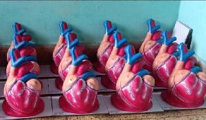 heart models