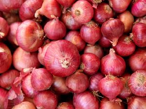 Fresh Nagpur Onion