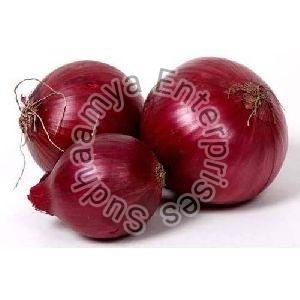 Dread Onion