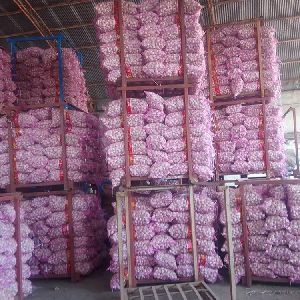 garlic exports