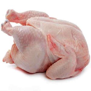 Halal Frozen Whole Chicken, chicken feet and chicken paws