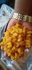 yellow raisins