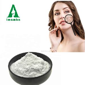 Best Quality HA Cosmetic Grade Hyaluronic Acid Sodium Hyaluronate Powder