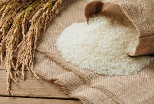 Light White Solid Hard Organic Joha Rice, For Human Consumption, Packaging Type : Plastic Bags