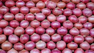 fresh onion