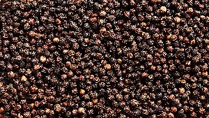 black pepper seeds