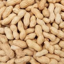 raw peanut