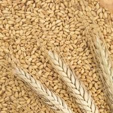 Wheat Pellet