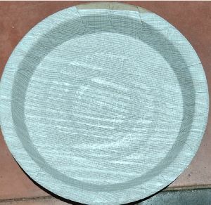 12 Inch Paper Plate