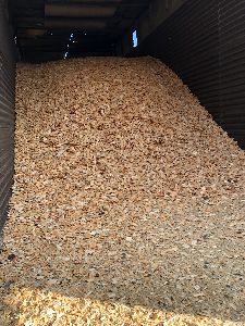 Pine Wood Chips