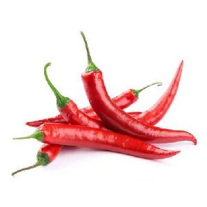 Fresh Red Chilli