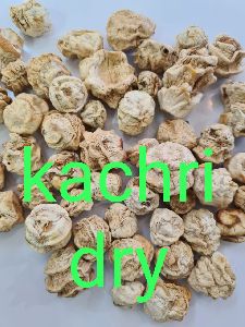 dried kachri