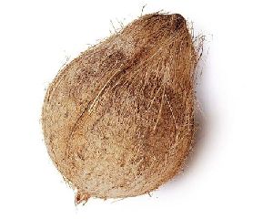 semi husked coconut