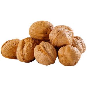 Shelled Walnut