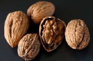 walnut