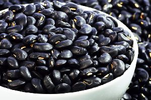 Organic Black Kidney Bean