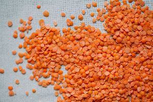 Organic Red Lentils