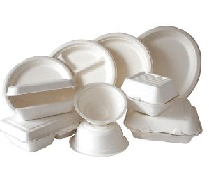 Bagasse Disposable Products.