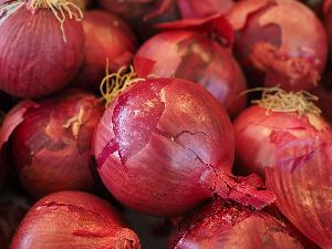 red onion